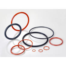 PFA FKM Encapsulated O-ring with Ptfe Coating